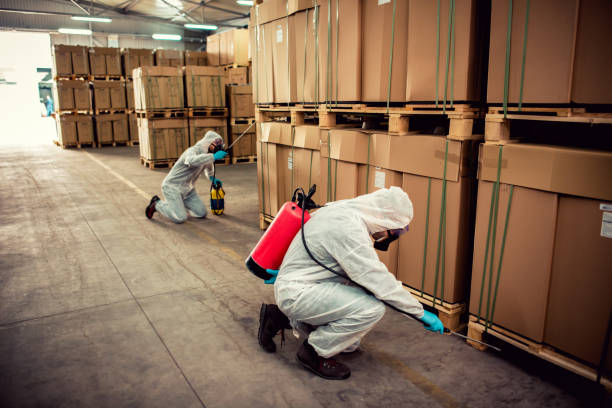 Best Flea Control Services  in Lockport, NY