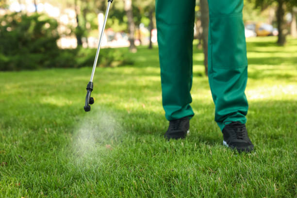 Best Wildlife Control Services  in Lockport, NY