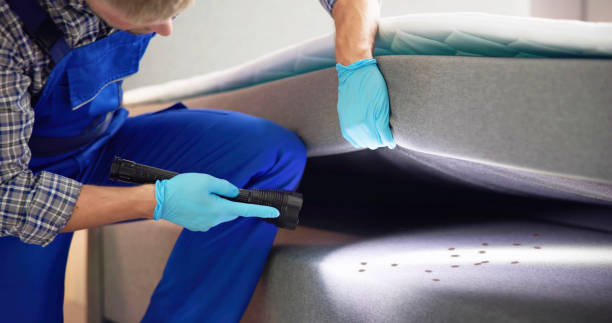 Best Residential Pest Control  in Lockport, NY