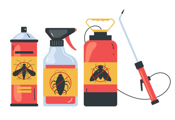 Best Ant Control Services  in Lockport, NY